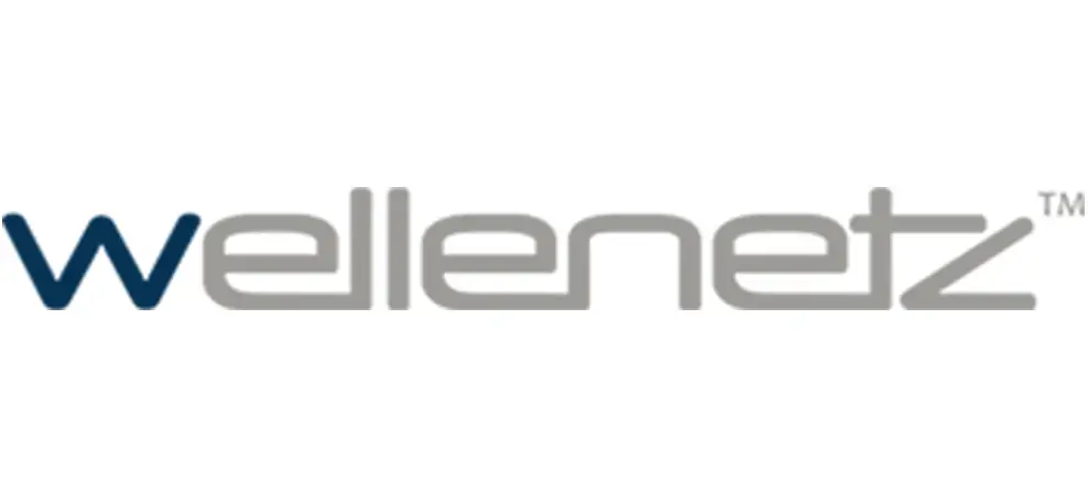 wellenetz